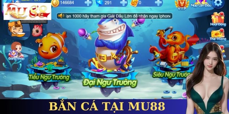 Hướng dẫn cách chơi