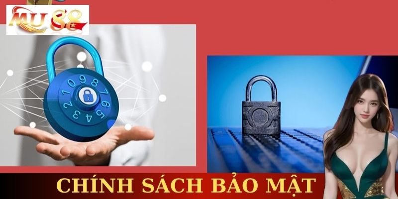 Thu thập và sử dụng thông tin cá nhân theo chính sách