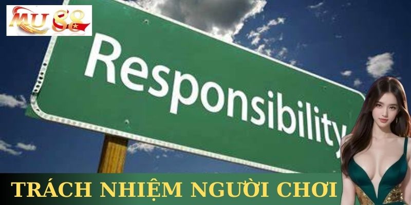 Hiểu toàn diện - Chơi trách nhiệm