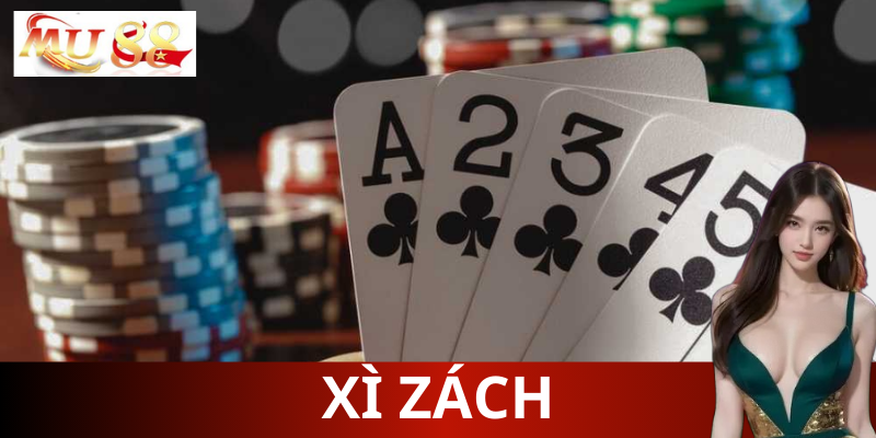 Mẹo giúp chơi xì zách chắc tay hơn
